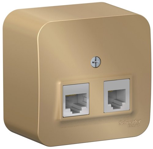 Розетка телефон+компьютер накладная Systeme Electric Blanca 2-м. RJ11+RJ45 5е титан картинка